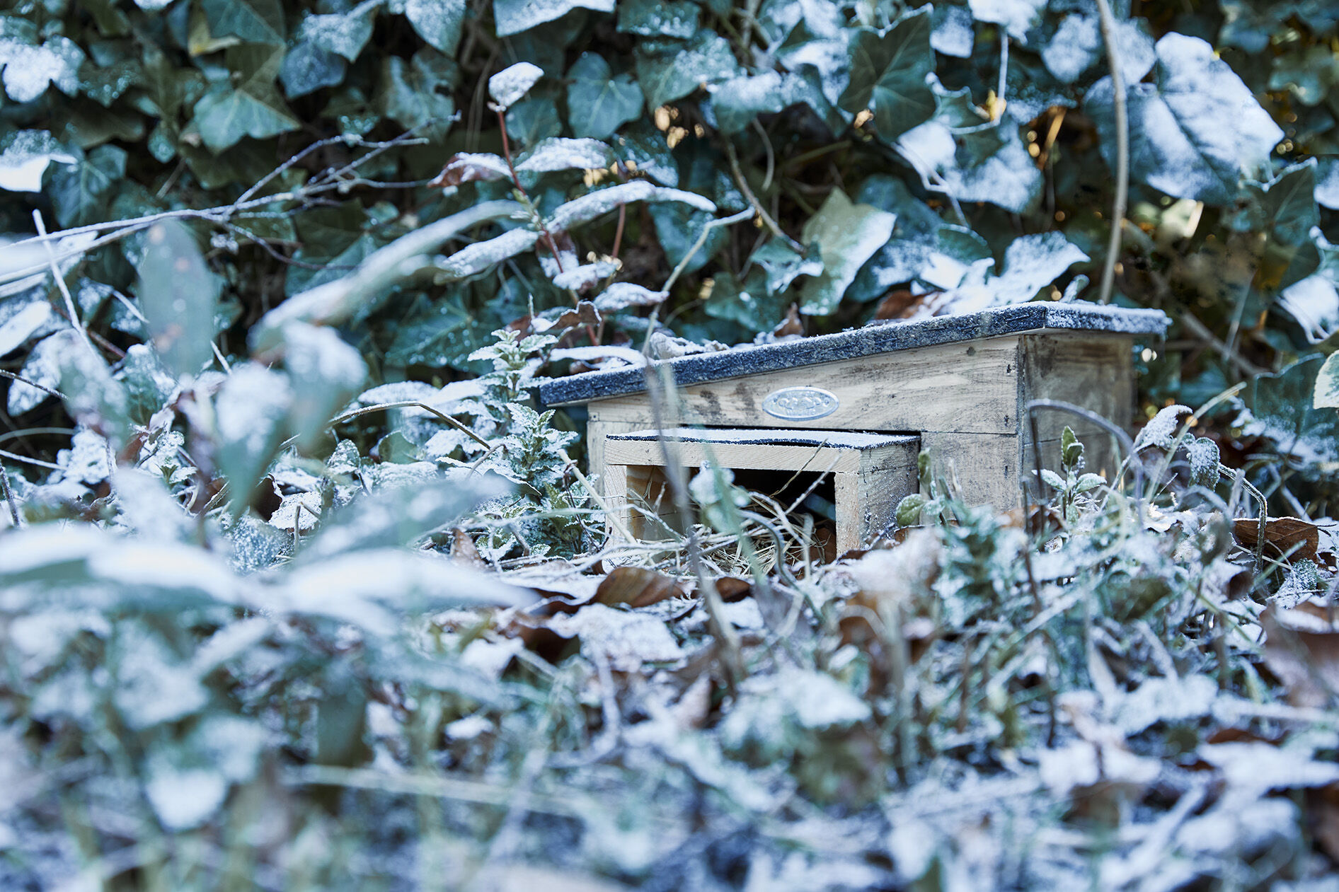 egelhuis winter egel welkoop